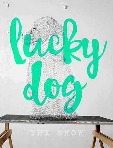 luckydog-animation